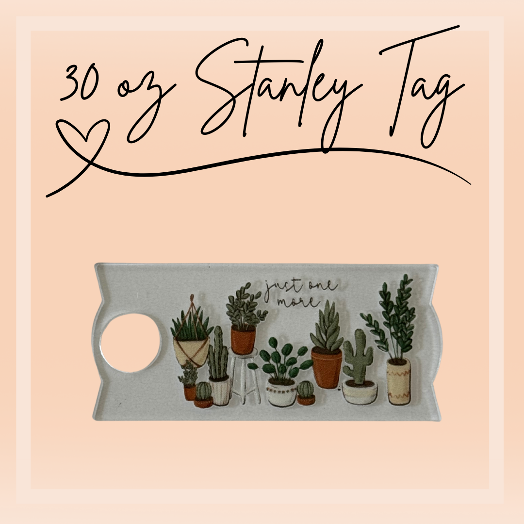 Stanley Tag 30oz